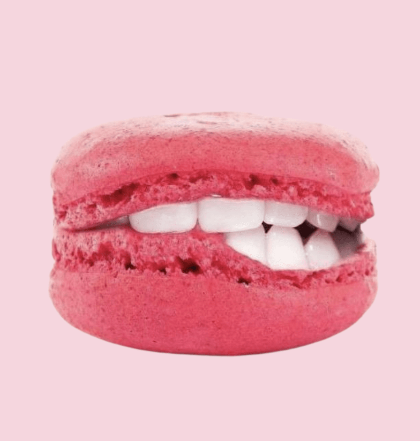Pink macaron biting down with white teeth